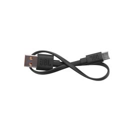 USB Cable for Tour Pro+ TWS - Black - Hero