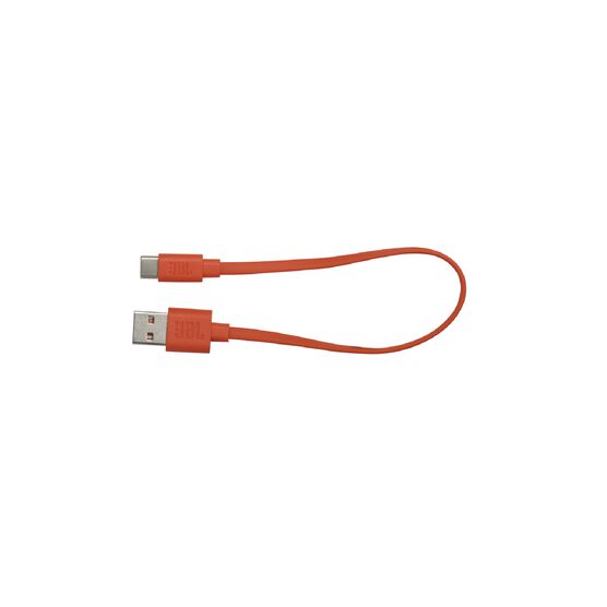 LIVE FREE NC+ TWS USB Cable - Orange - Hero
