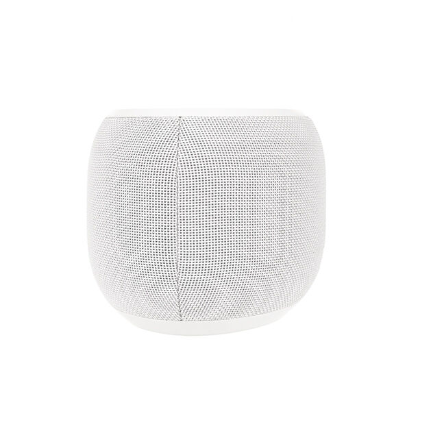 JBL Link 300