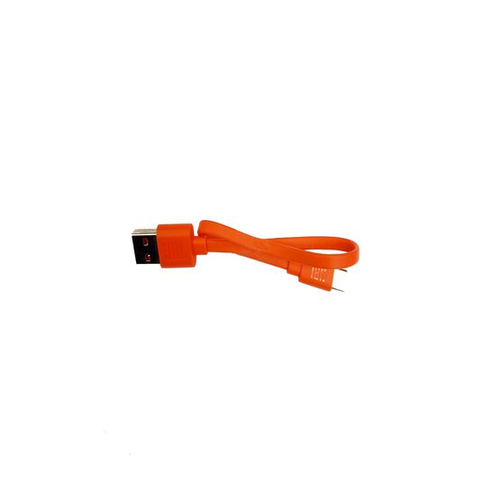 USB Cable for LIVE FREE2 TWS - Orange - Hero
